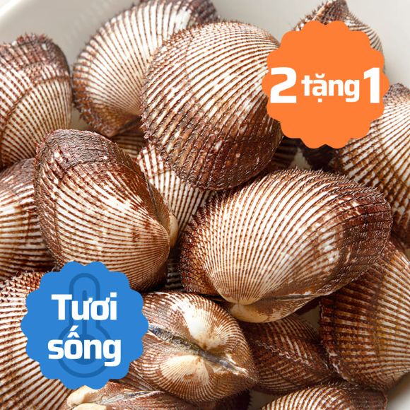 [Mua 2 tặng 1] Sò huyết sống 500g 1